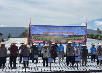 Tanam Serentak Nasional, Kapolda Sumbar Tanam Bawang Putih Di Kabupaten Solok