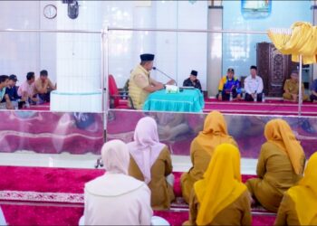 DMI Kabupaten Solok Bersih-Bersih Masjid di Nagari Cupak