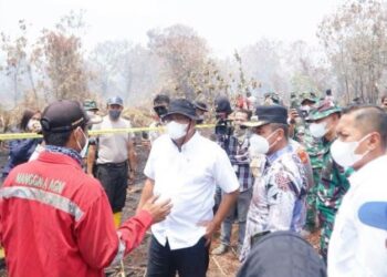 Atasi Karhutla di Tambang Kampar, Menteri LH dan Rombongan Tinjau Langsung Lokasi Kebakaran