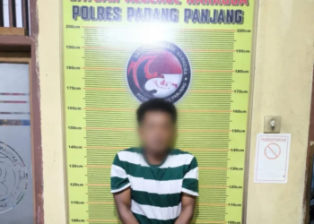 Pria di Tanah Datar Diringkus Satresnarkoba Polres Padang Panjang, 82 Paket Ganja Siap Edar Diamankan