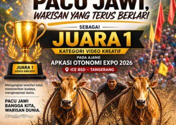 Harumkan Nama Daerah, Video Pacu Jawi Tanah Datar Sabet Juara 1 Nasional AOE 2026