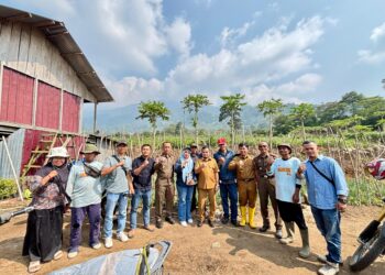 Jorong Anau Kadok Kembangkan Pertanian Kopi dan Bawang Merah
