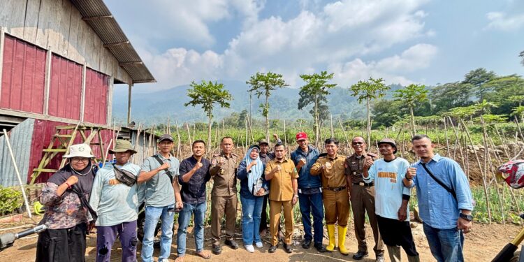 Jorong Anau Kadok Kembangkan Pertanian Kopi dan Bawang Merah