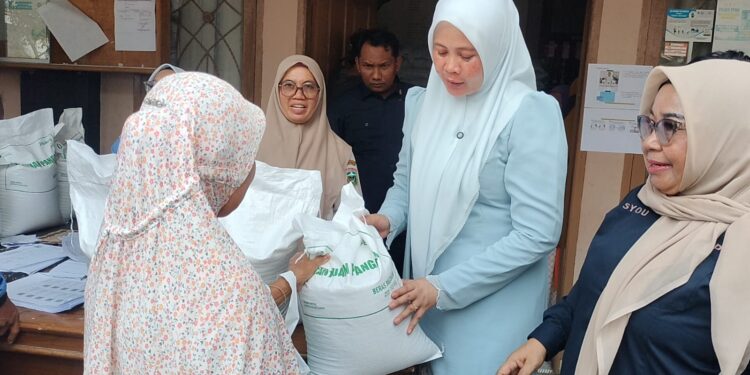Ketua TP PKK Kabupaten Solok Salurkan Bantuan Beras CPP dan Bibit Ikan di Nagari Koto Sani