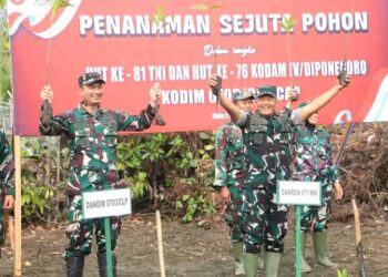 Tanam Pohon