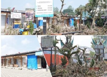 Pemko Bukittinggi Sulap Halaman Kebun Zoo TMSBK Jadi Lebih Ramah Anak dan Disabilitas