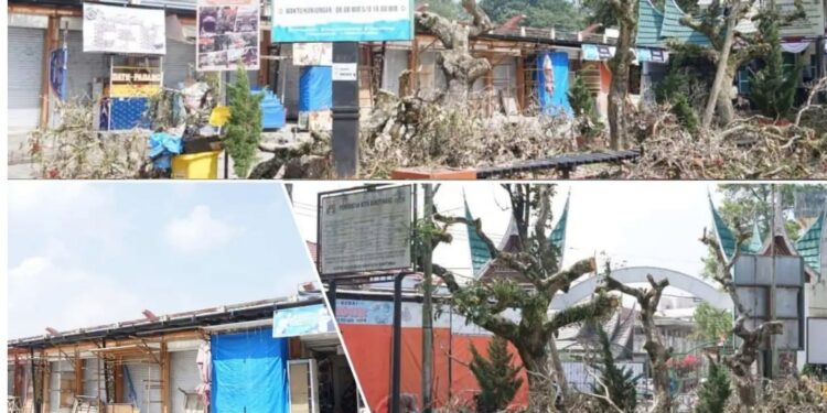 Pemko Bukittinggi Sulap Halaman Kebun Zoo TMSBK Jadi Lebih Ramah Anak dan Disabilitas