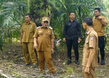 Bupati Pasbar Tinjau Lahan Sekolah Rakyat dan Rencana Jembatan Cubadak Sipirok